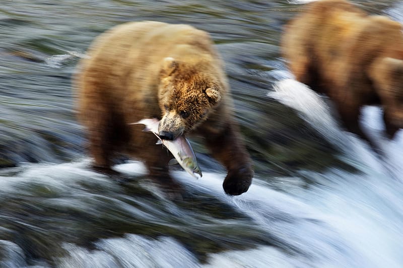 Bristol Bay, Alaska 12